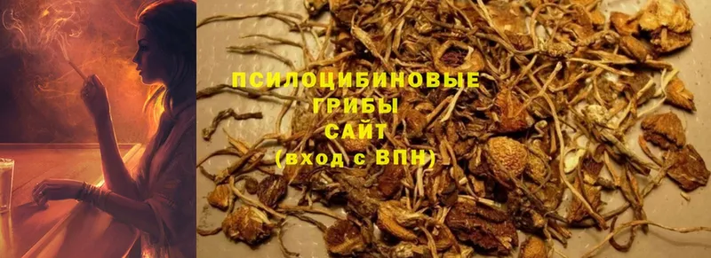 купить   Верхнеуральск  Галлюциногенные грибы MAGIC MUSHROOMS 